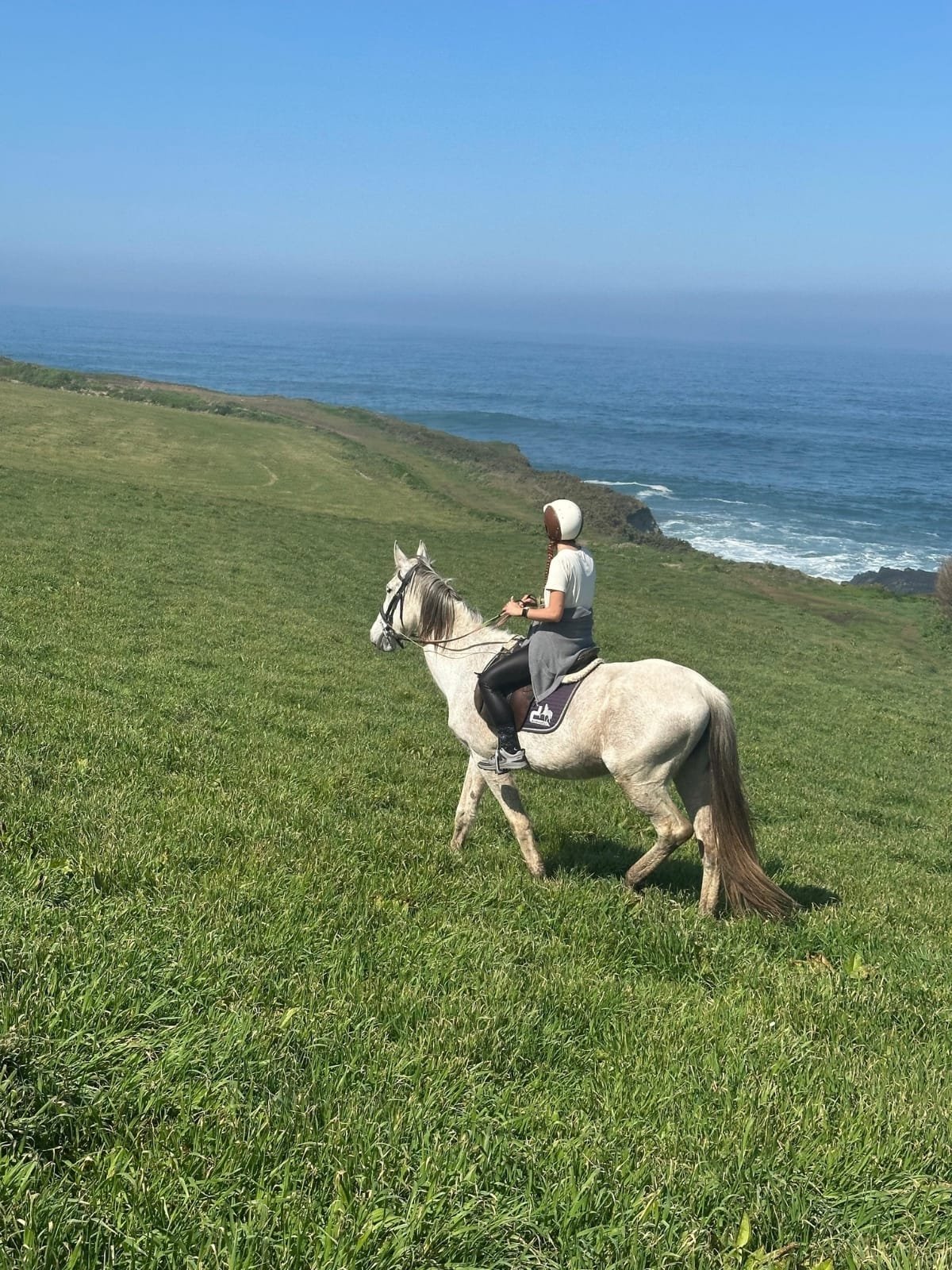 Paseo a caballo frente al mar