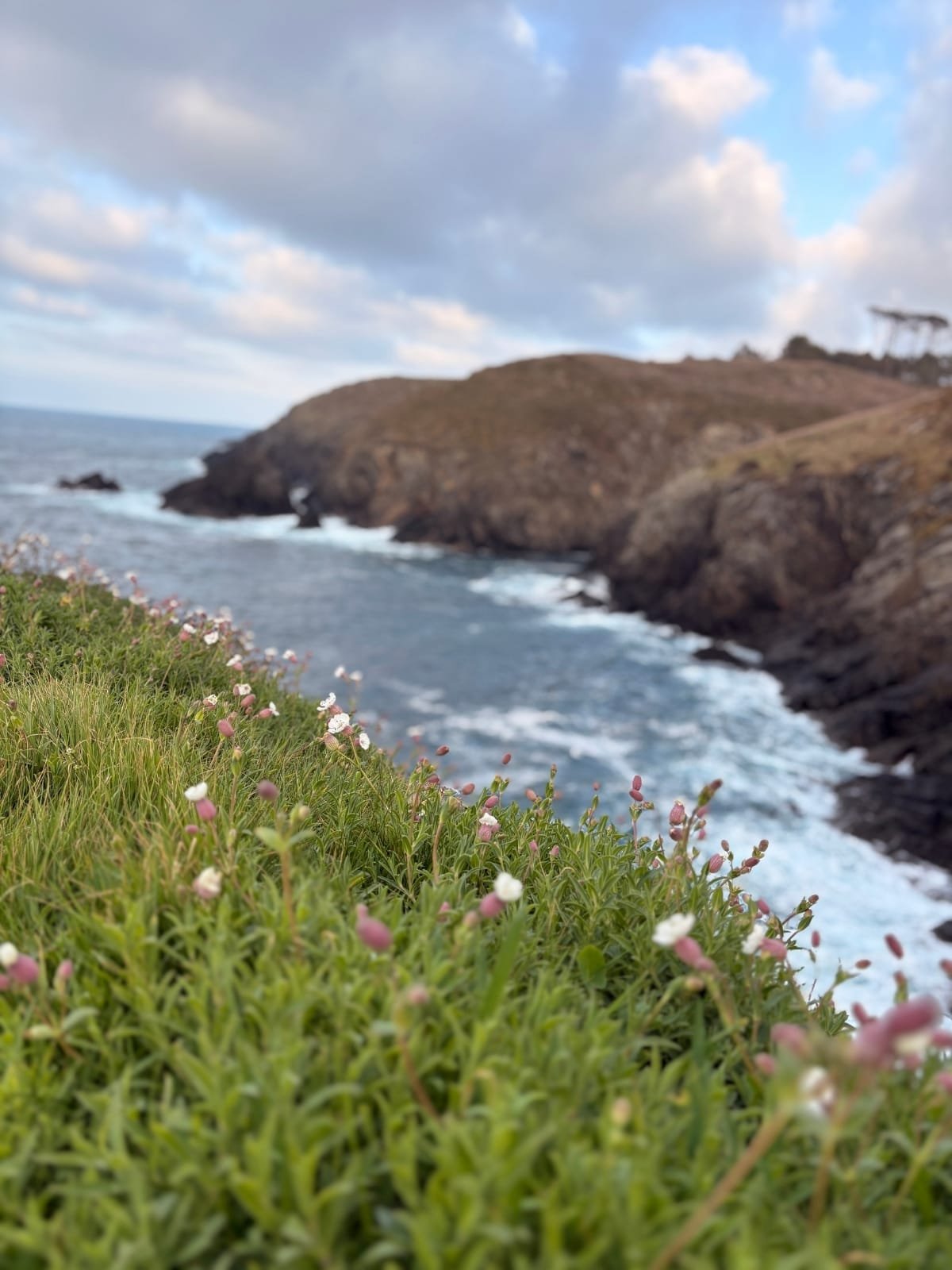 Paisaje verde de Asturias